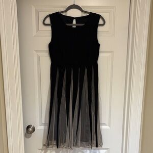 Elegant Black and Sheer Dress